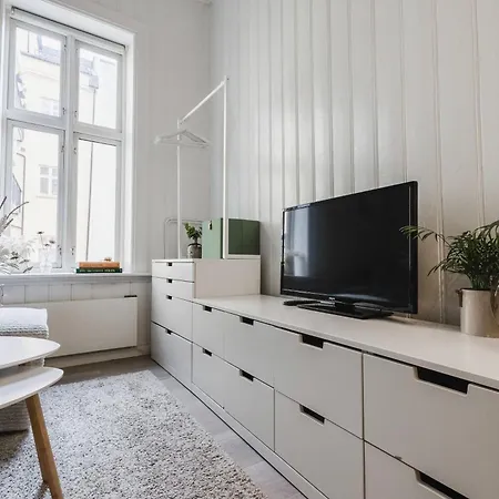 At Solli Oslo